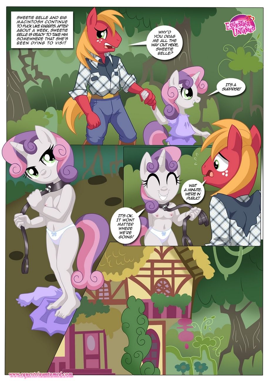 Be_My_Special_Somepony comix_125208.jpg